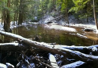 Debris dam - 12